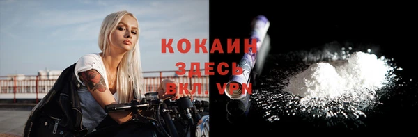 ешки Алексин