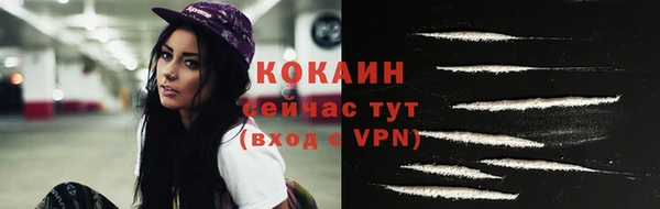 прущий лед Алзамай