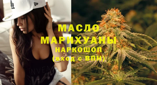 прущий лед Алзамай