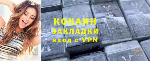 ешки Алексин