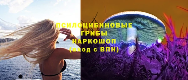 прущий лед Алзамай